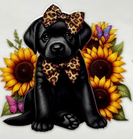 Black Lab #3