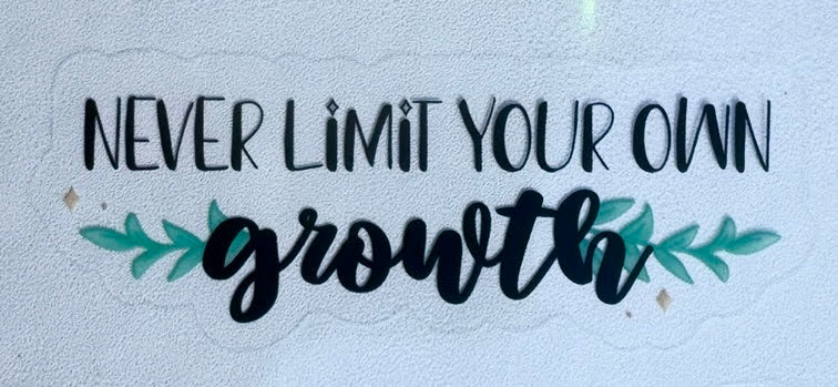 Never Limit Your Own Growth
