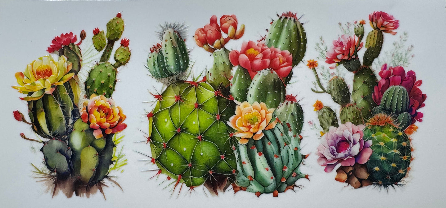 Cactus