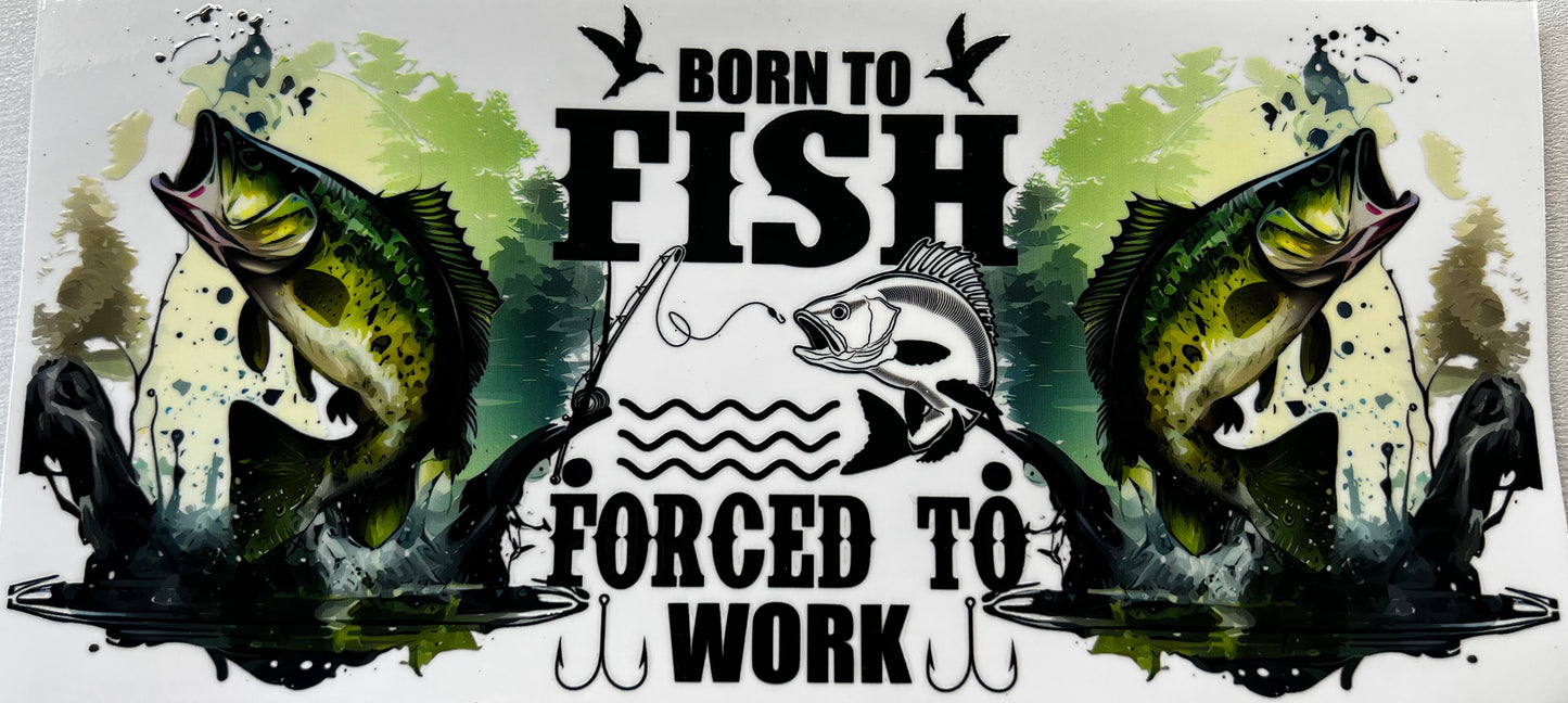 Born to fish