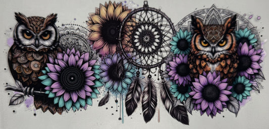 Owl and dream catcher