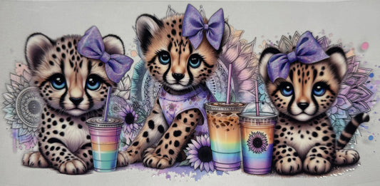 Baby cheetah and cups