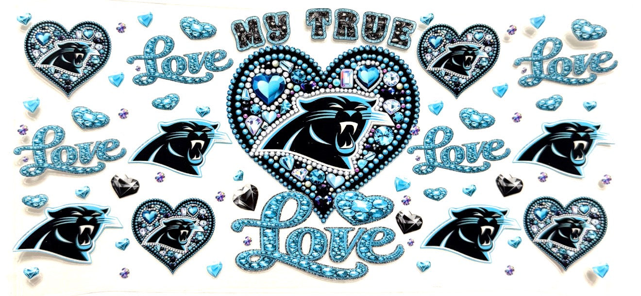 Carolina Panthers