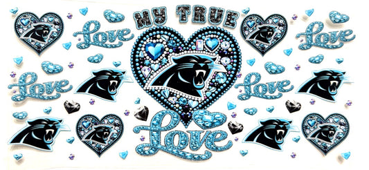 Carolina Panthers