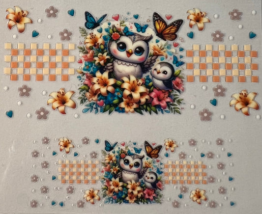 Owls and Butterflies