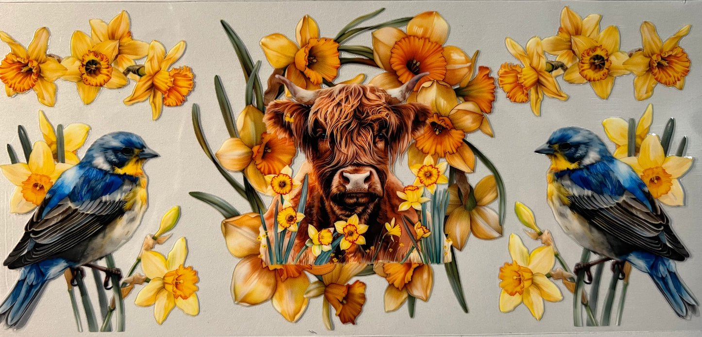 Highland cow, blue birds and yellow floral
