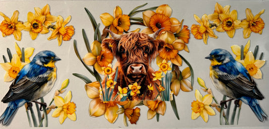 Highland cow, blue birds and yellow floral