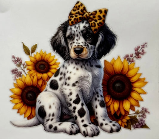 Dalmatian