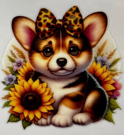 Corgi #1