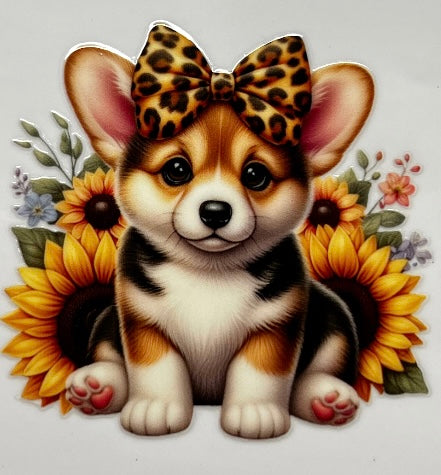 Corgi #2