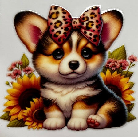 Corgi #3