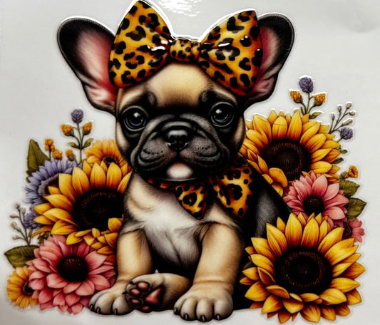 French Bulldog #1