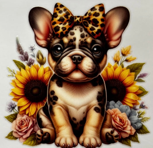 French Bulldog #2