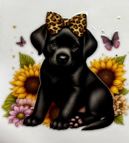 Black Lab #1
