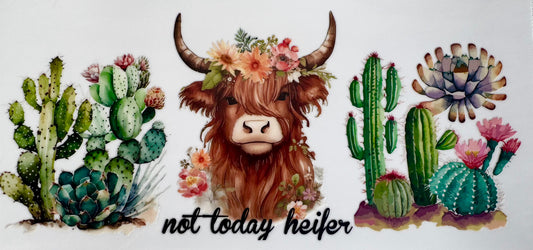 Not today heifer
