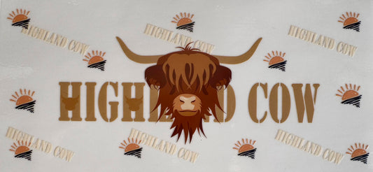 Highland Cow