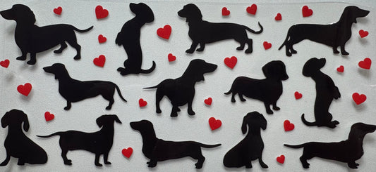 Dachshund