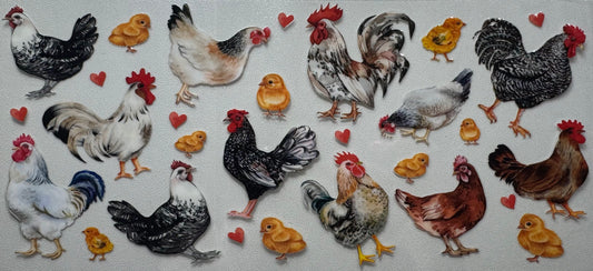 Chickens and Chicks