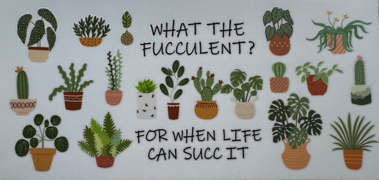 FL024 When Life can Succ It