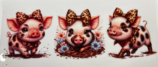 Pig #2