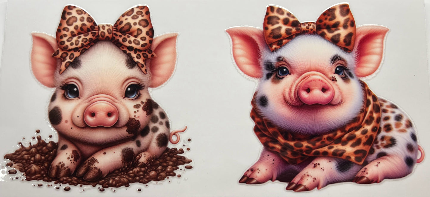 Pig #3