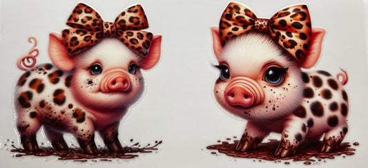 Pig #4