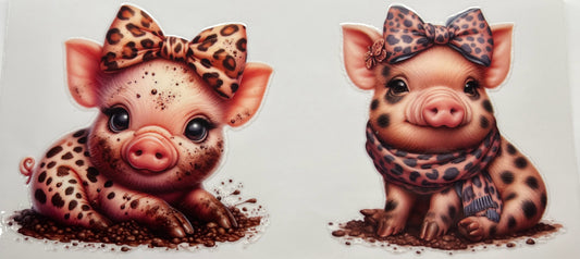 Pig #5
