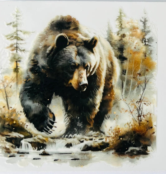 Bear 9