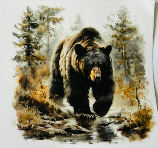 Bear 10