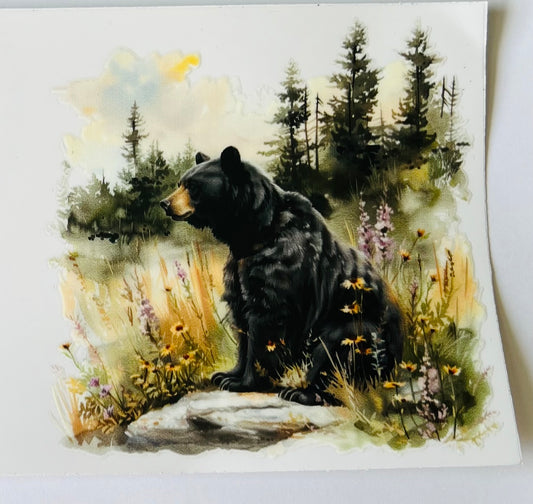 Bear 7