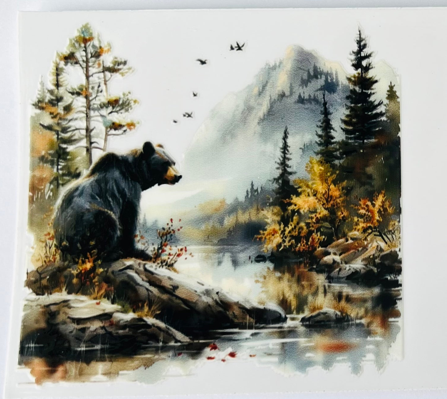 Bear 8