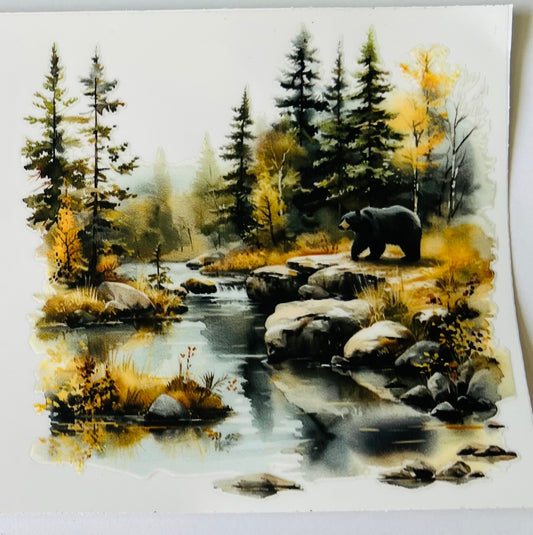 Bear 5