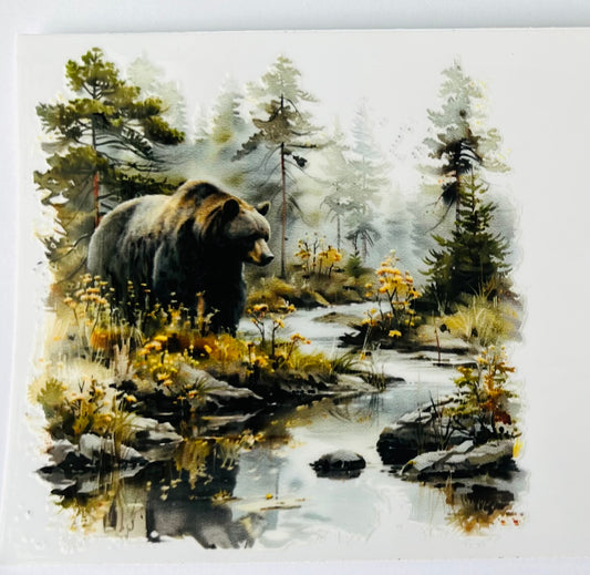 Bear 6