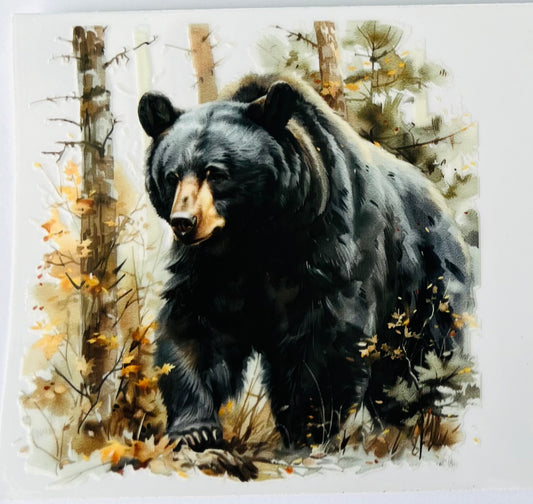 Bear 3
