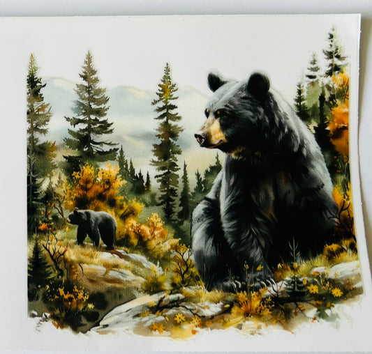 Bear 1