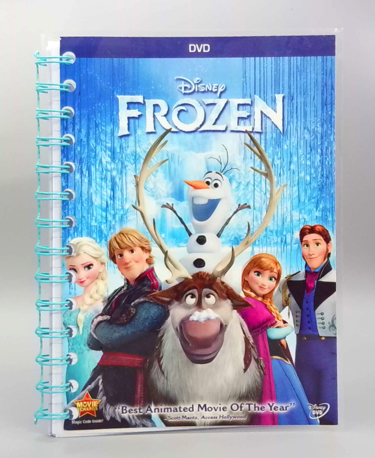 Frozen DVD notebook